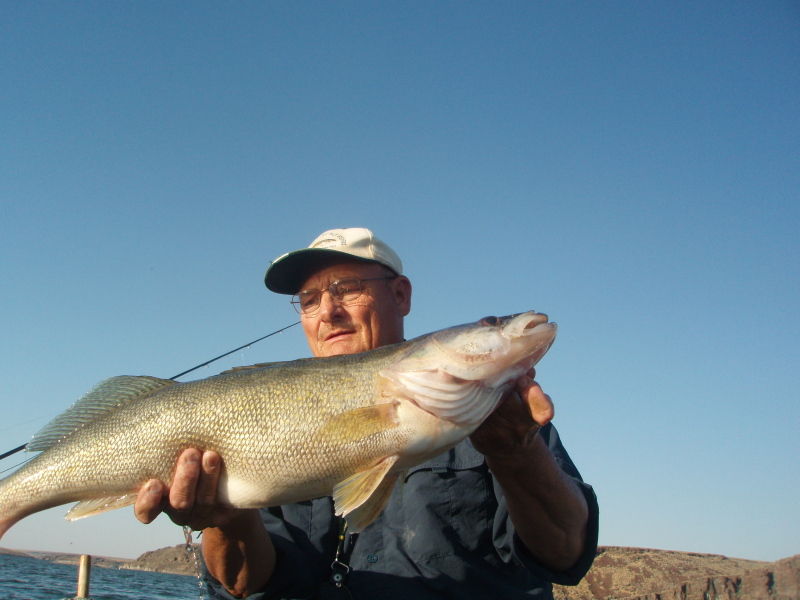 Big fish